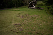 イノシシに掘られた赤崎公園の芝生