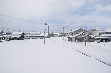 今日の雪景色