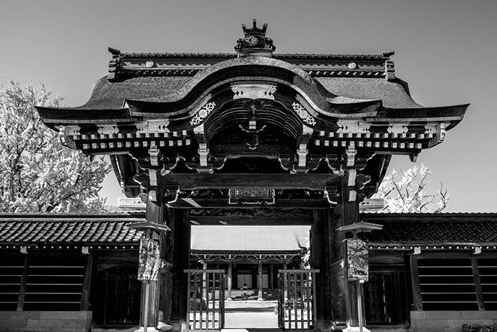 勝興寺の唐門
