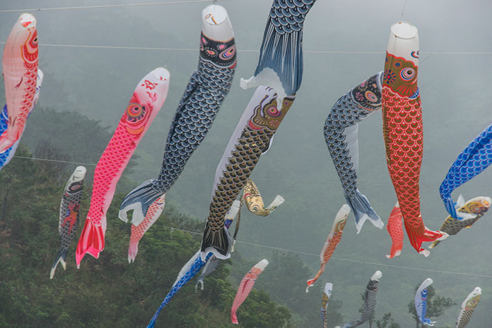 奥集落の鯉のぼり祭り