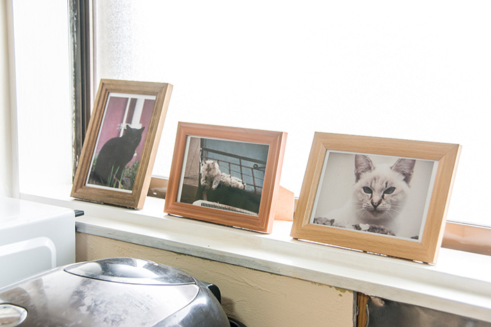 キッチン・ギャラリー02猫