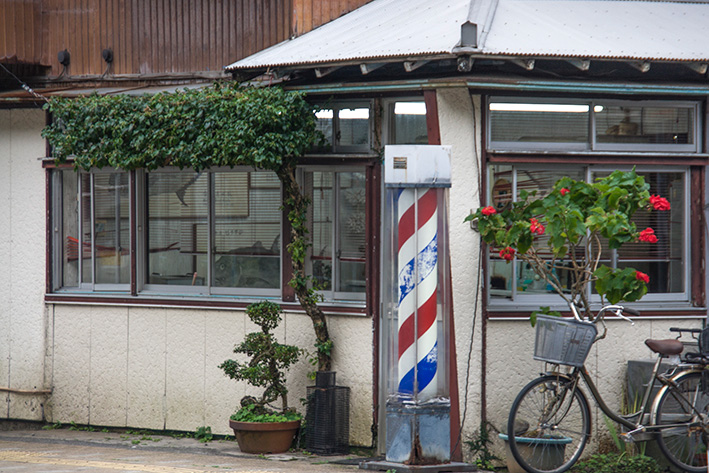 名瀬の床屋さんの植木
