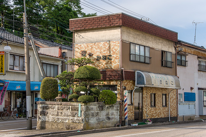 伏木の床屋さんの植木