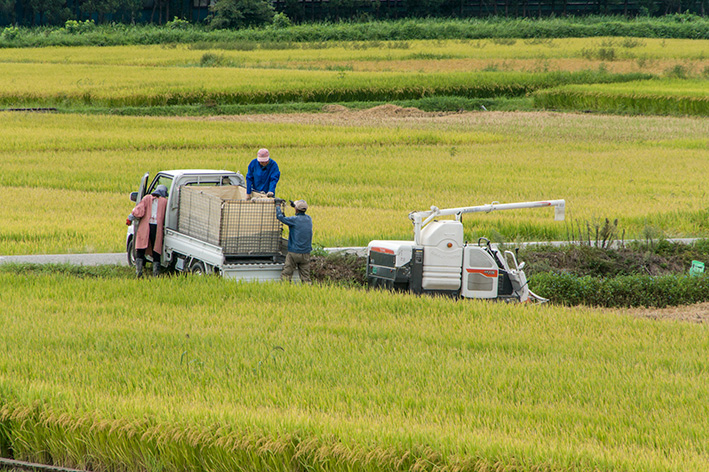 小矢部川からの風景01