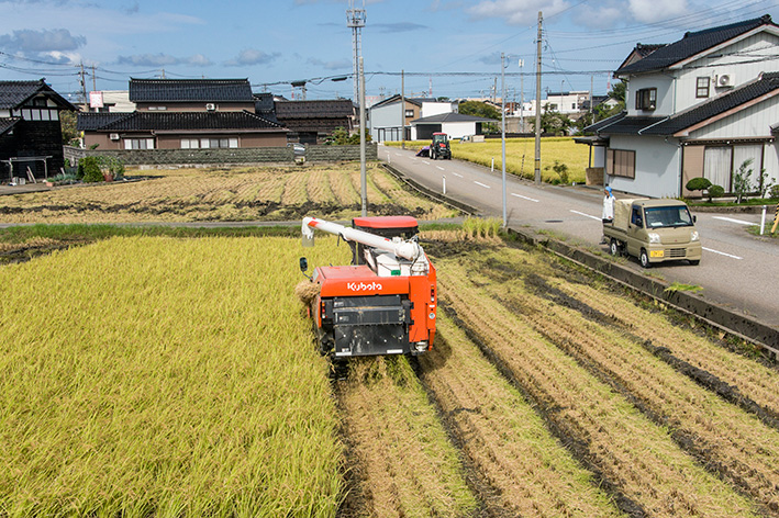 コンバインで稲刈りしている隣の田んぼ