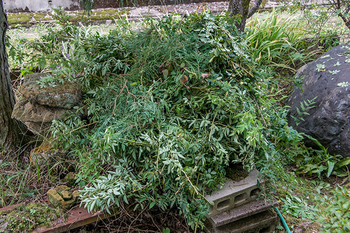 選定した庭の枝や葉っぱ