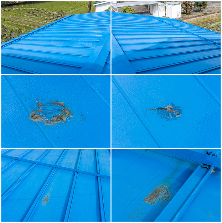 トタン屋根のチェック02