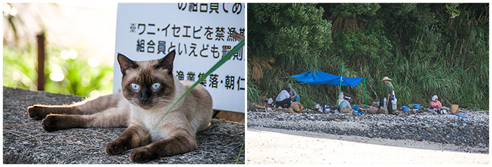 朝仁の看板と小宿のウニ小屋
