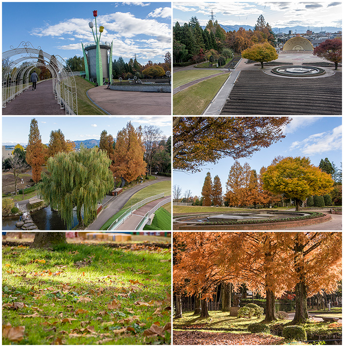 チューリップ公園01