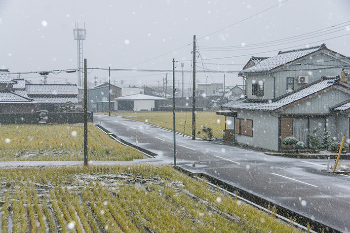 雪