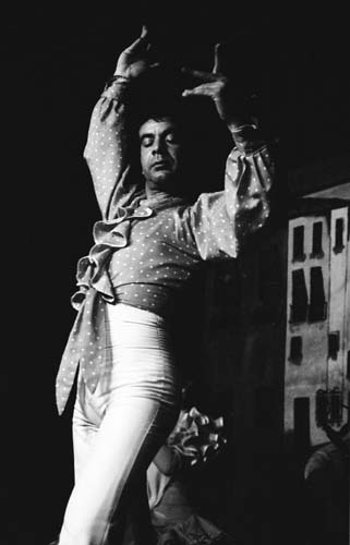 flamenco03