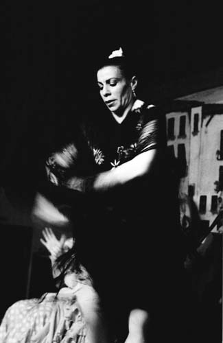 flamenco06